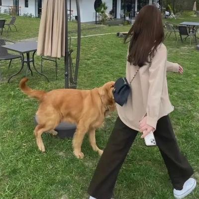 路人女主的养成方法第二季